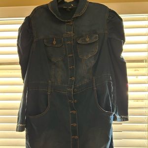 COPY - Ashley Stewart denim dress with puff sleeves pockets in front and back